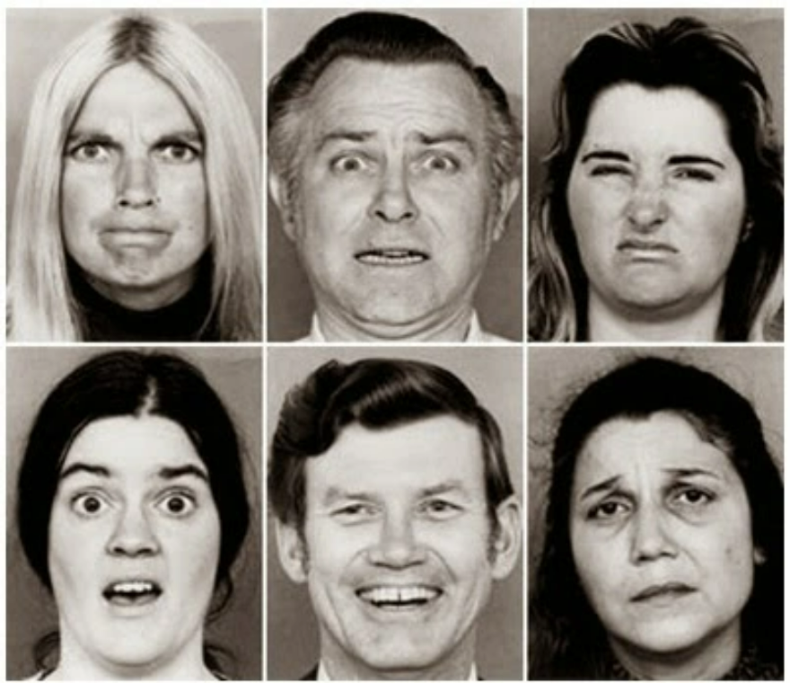 Leg. Emoções primárias ou universais